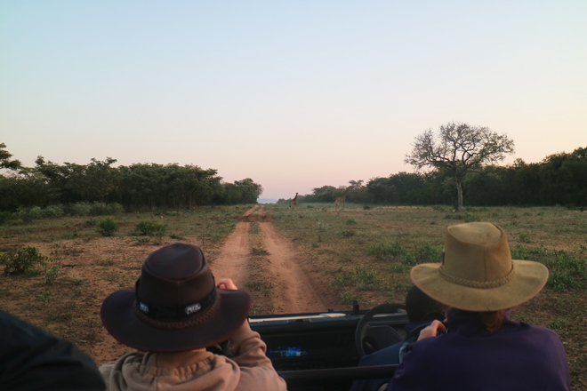 People wearing safari hats